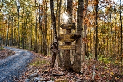 OldWagonRidgeFallSign